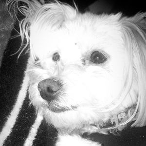 Meet your Posher, Jacob